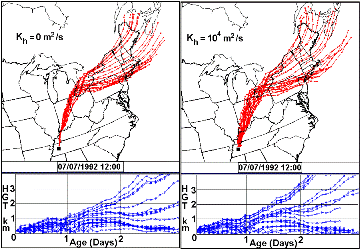 Monte Carlo simulation of pollution plume