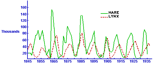 Lynx and Hare Populations