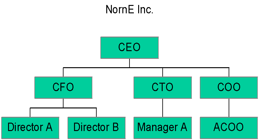 Rice University Organizational Chart